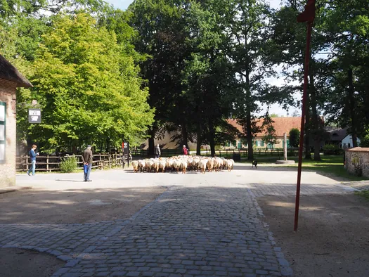 Openluchtmuseum Bokrijk (België)